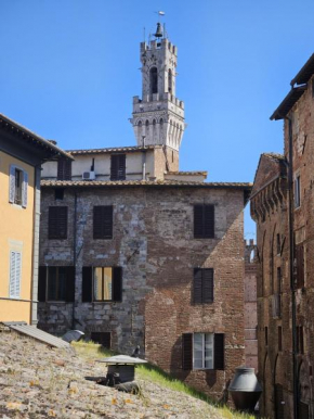 Fly To Home Siena Centre Siena